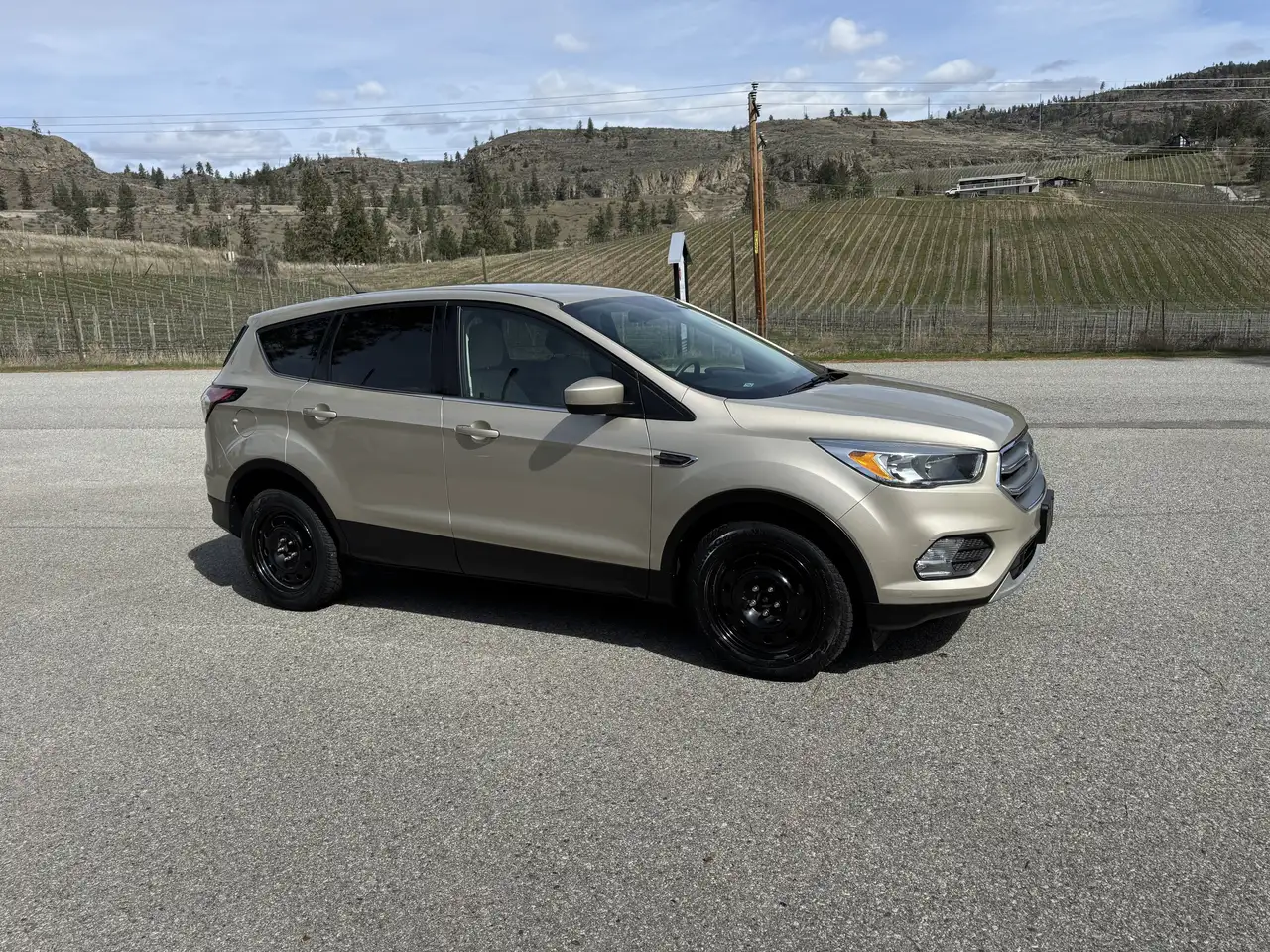 Ford Escape снимка Ford Escape