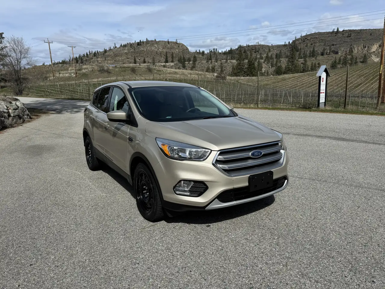 Ford Escape снимка Ford Escape