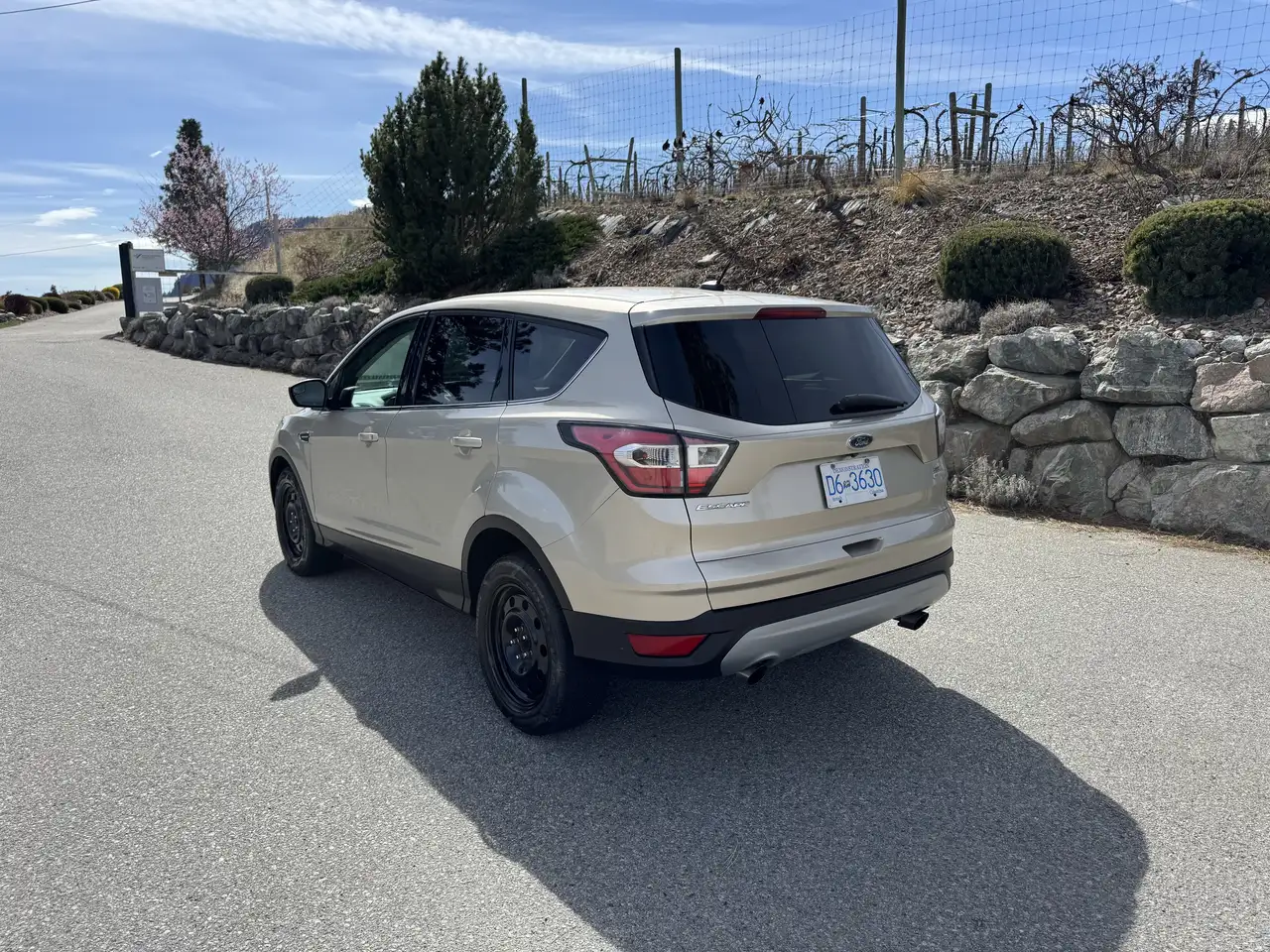Ford Escape снимка Ford Escape