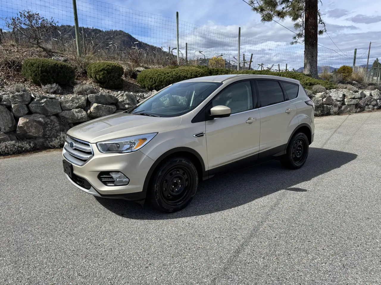 Ford Escape снимка Ford Escape