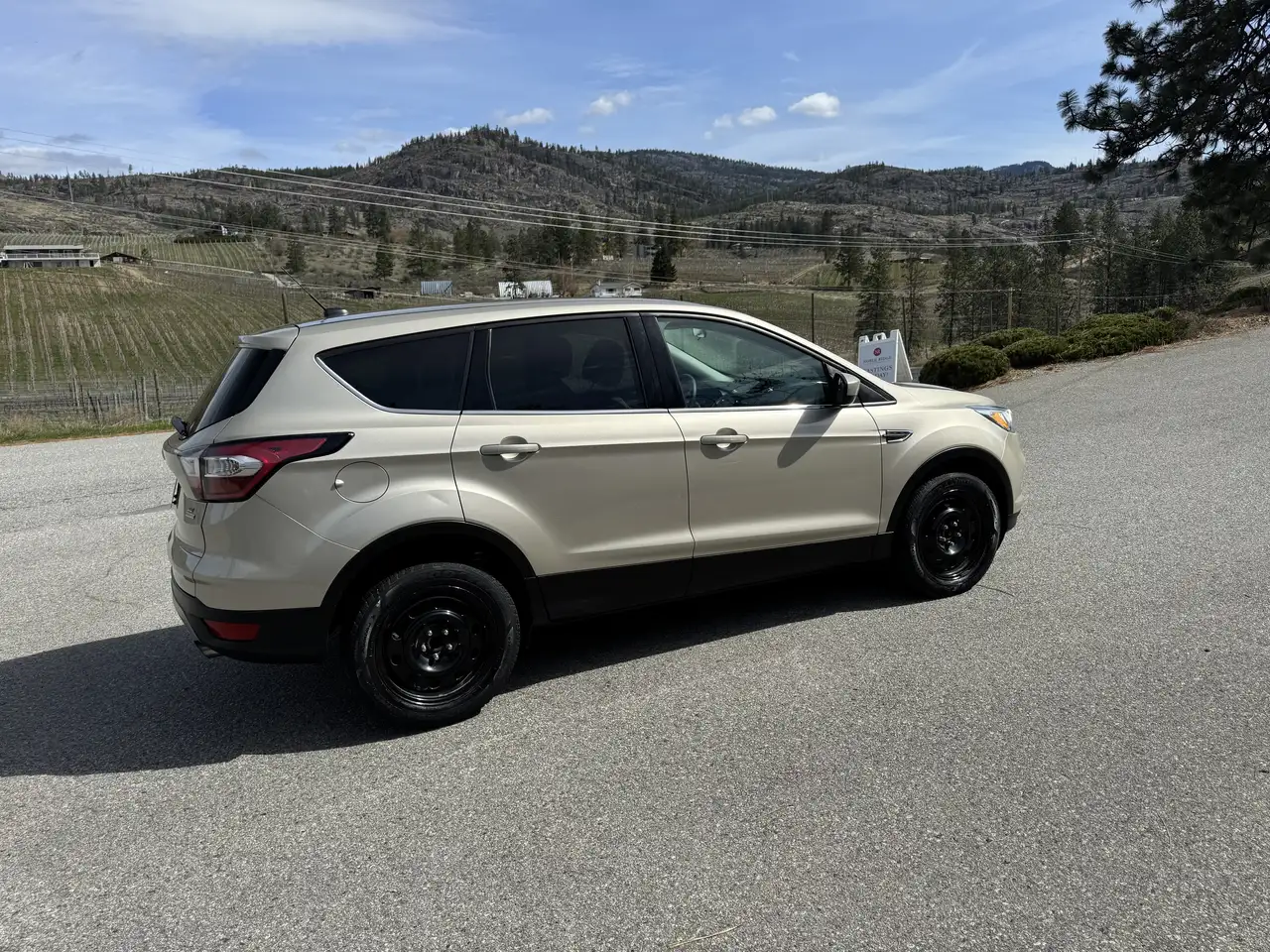 Ford Escape снимка Ford Escape