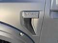 Ford F 150 3.5 eco Boost PLATINUM Marge Btw/Bpm vrij Financie Noir - thumbnail 30