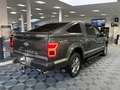 Ford F 150 Harley Davidson Edition, Whipple , Klappenauspuff Grau - thumbnail 7