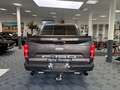 Ford F 150 Harley Davidson Edition, Whipple , Klappenauspuff Gris - thumbnail 6