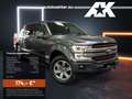 Ford F 150 Harley Davidson Edition, Whipple , Klappenauspuff Gris - thumbnail 1