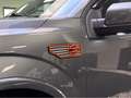 Ford F 150 Harley Davidson Edition, Whipple , Klappenauspuff Grau - thumbnail 11