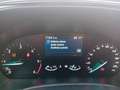 Ford Focus Focus 1.5 EcoBlue 120 CV 5p. ST-Line Nero - thumbnail 15