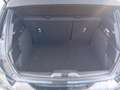 Ford Focus Focus 1.5 EcoBlue 120 CV 5p. ST-Line Nero - thumbnail 9