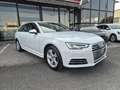 Audi A4 Avant 2.0 TDI 190 CV quattro S tronic Business White - thumbnail 3