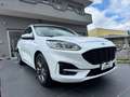 Ford Kuga 1.5 ecoblue ST-Line X 2wd 120cv auto Bianco - thumbnail 3
