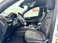 Ford Kuga 1.5 ecoblue ST-Line X 2wd 120cv auto Bianco - thumbnail 8