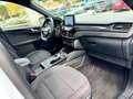Ford Kuga 1.5 ecoblue ST-Line X 2wd 120cv auto Bianco - thumbnail 12
