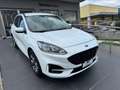 Ford Kuga 1.5 ecoblue ST-Line X 2wd 120cv auto Bianco - thumbnail 1
