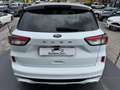 Ford Kuga 1.5 ecoblue ST-Line X 2wd 120cv auto Bianco - thumbnail 6