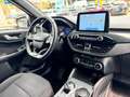 Ford Kuga 1.5 ecoblue ST-Line X 2wd 120cv auto Bianco - thumbnail 11