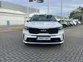 Kia Sorento 1.6 T Hybrid Platinum AWD 7-Sitzer AHK Alb - thumbnail 2