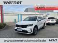 Kia Sorento 1.6 T Hybrid Platinum AWD 7-Sitzer AHK Alb - thumbnail 1
