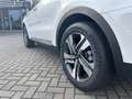 Kia Sorento 1.6 T Hybrid Platinum AWD 7-Sitzer AHK Alb - thumbnail 14