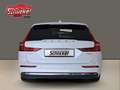 Volvo V60 T6 Plus Bright Recharge Plug-In Hybrid AWD AHK ACC Weiß - thumbnail 5