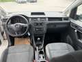 Volkswagen Caddy Kombi Conceptline 2,0 TDI Weiß - thumbnail 26