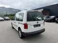 Volkswagen Caddy Kombi Conceptline 2,0 TDI Weiß - thumbnail 7