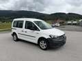 Volkswagen Caddy Kombi Conceptline 2,0 TDI Weiß - thumbnail 13