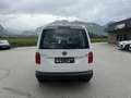 Volkswagen Caddy Kombi Conceptline 2,0 TDI Weiß - thumbnail 8