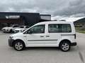 Volkswagen Caddy Kombi Conceptline 2,0 TDI Weiß - thumbnail 4