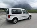 Volkswagen Caddy Kombi Conceptline 2,0 TDI Weiß - thumbnail 11