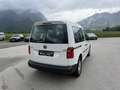 Volkswagen Caddy Kombi Conceptline 2,0 TDI Weiß - thumbnail 9