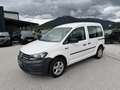 Volkswagen Caddy Kombi Conceptline 2,0 TDI Weiß - thumbnail 2