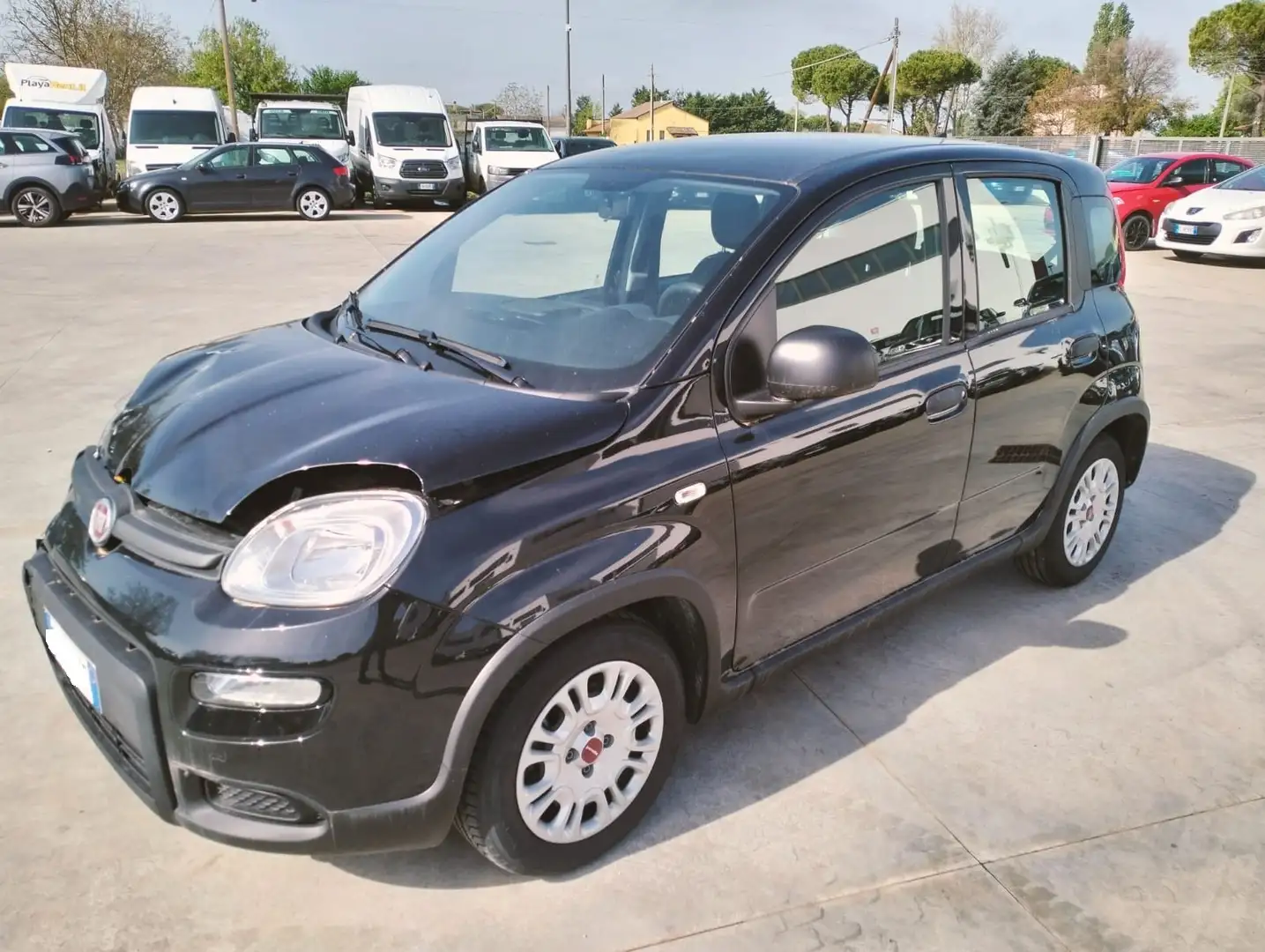 Fiat Panda 1.0 hybrid Noir - 2