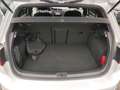 Volkswagen Golf GTE VII 1.4 GTE DSG *StdHz*ACC*SHZ*App-Connect* Weiß - thumbnail 21
