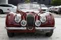 Jaguar XK XK120 DHC  - Road racing spec and 5-speed Getrag Rouge - thumbnail 11