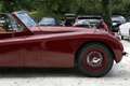 Jaguar XK XK120 DHC  - Road racing spec and 5-speed Getrag Rouge - thumbnail 9