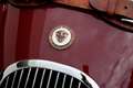 Jaguar XK XK120 DHC  - Road racing spec and 5-speed Getrag Rouge - thumbnail 19