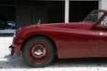Jaguar XK XK120 DHC  - Road racing spec and 5-speed Getrag Rouge - thumbnail 7