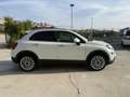 Fiat 500X 500X 1.6 MultiJet 120 CV DCT Business Bianco - thumbnail 3