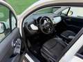 Fiat 500X 500X 1.6 MultiJet 120 CV DCT Business Bianco - thumbnail 13