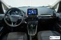 Ford EcoSport 1.0 EcoBoost 125 CV Start&Stop aut. Business Gris - thumbnail 12