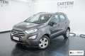 Ford EcoSport 1.0 EcoBoost 125 CV Start&Stop aut. Business Gris - thumbnail 1