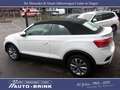 Volkswagen T-Roc Cabriolet Style DSG/AHK/PTS/dig.Cockpit Blanco - thumbnail 28