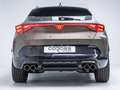 CUPRA Formentor VZ BLACK EDITION  4Drive Panno AHK ACC AKRAPOVIC S Goud - thumbnail 16