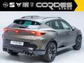 CUPRA Formentor VZ BLACK EDITION  4Drive Panno AHK ACC AKRAPOVIC S Goud - thumbnail 4