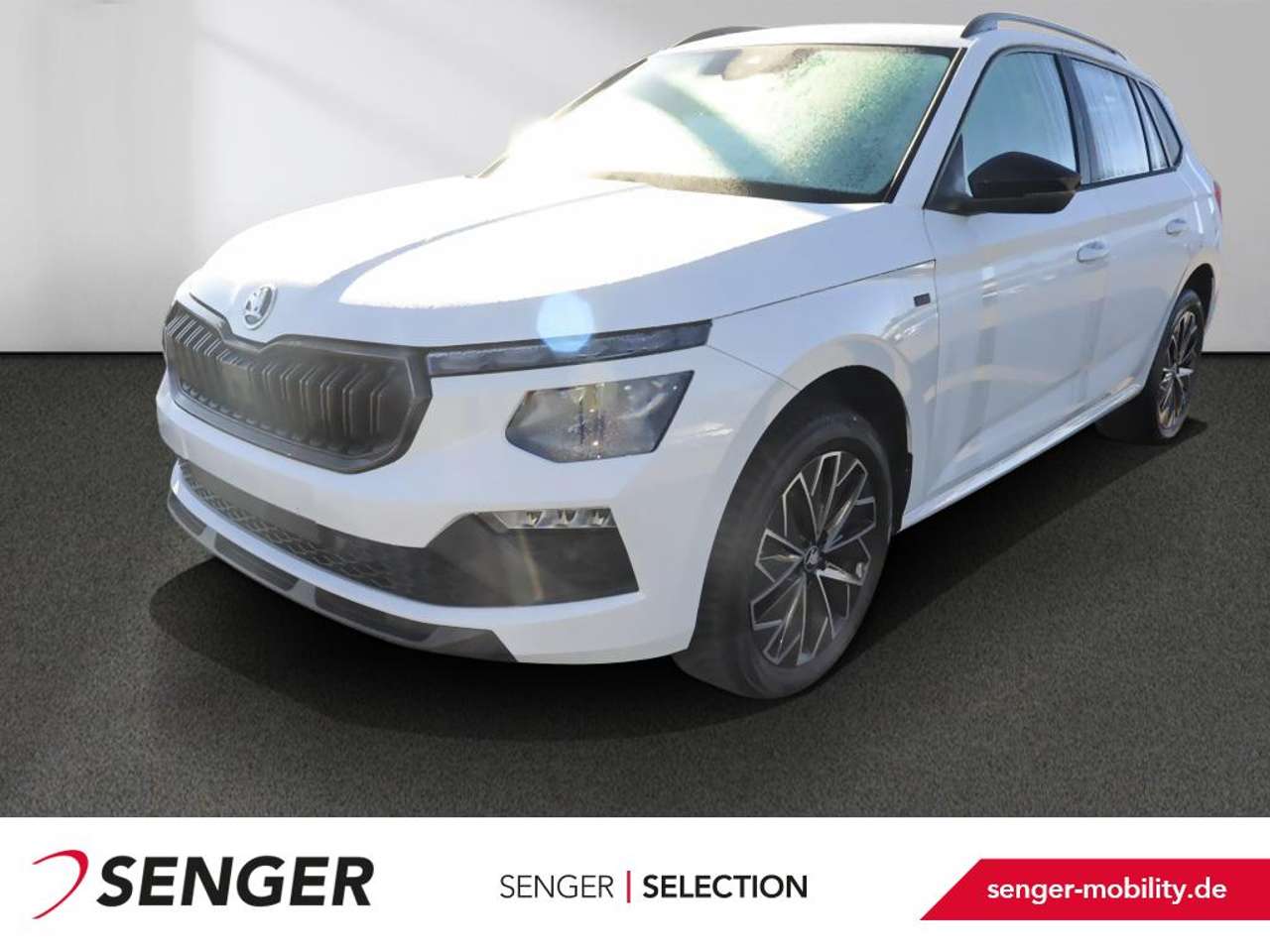 Skoda Kamiq — Skoda Kamiq 1.5 TSI Tour Navi Matrix AHK Smart Link+