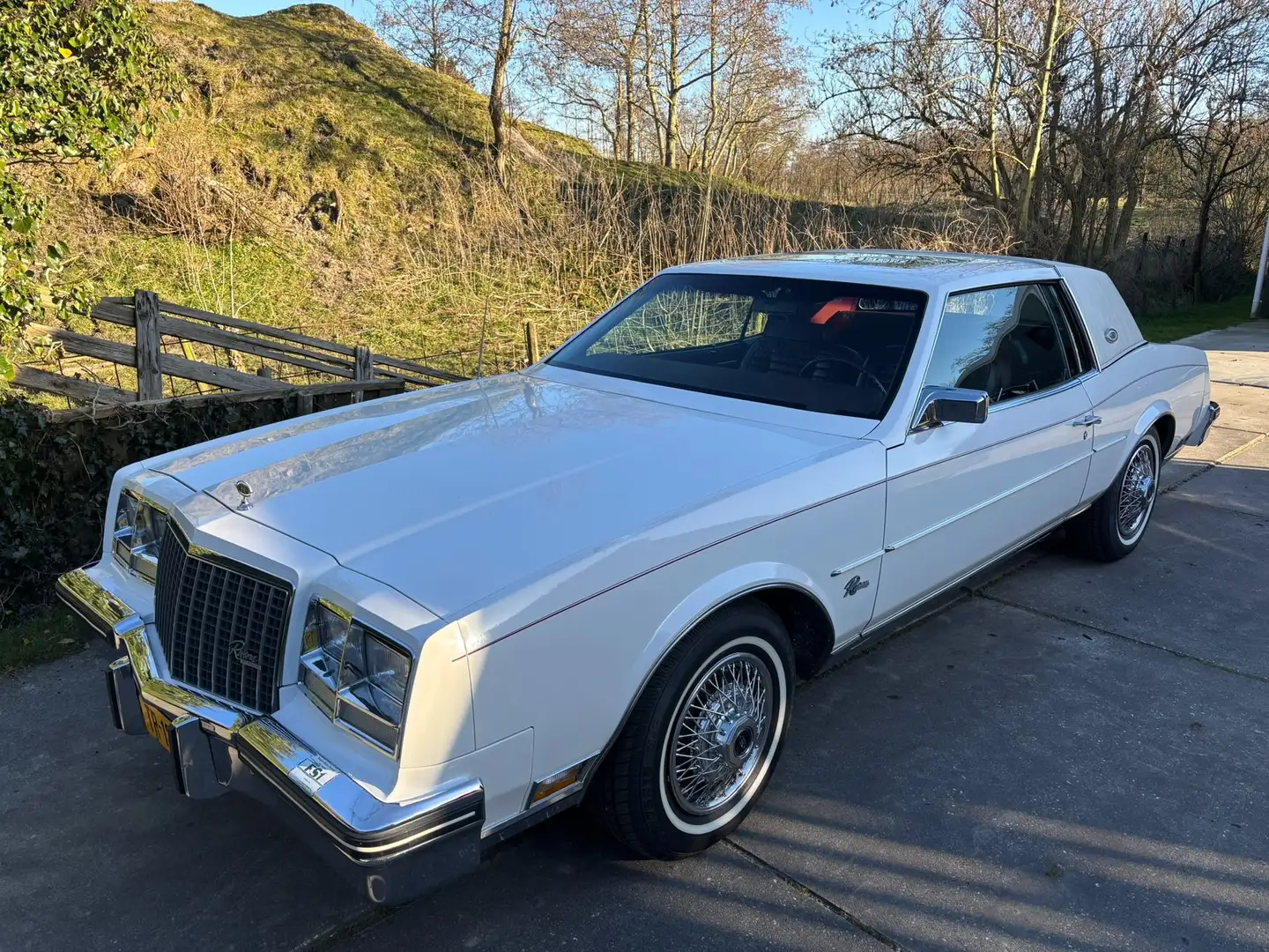 Buick Riviera Riviera Wit - 1