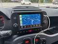 Fiat Panda Panda 1.0 Hybrid 70cv Cross Verde - thumbnail 13