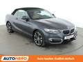 BMW 230 230i Luxury Line Aut.*NAVI*LED*CAM*PDC* Grau - thumbnail 8