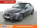 BMW 230 230i Luxury Line Aut.*NAVI*LED*CAM*PDC* Grau - thumbnail 1