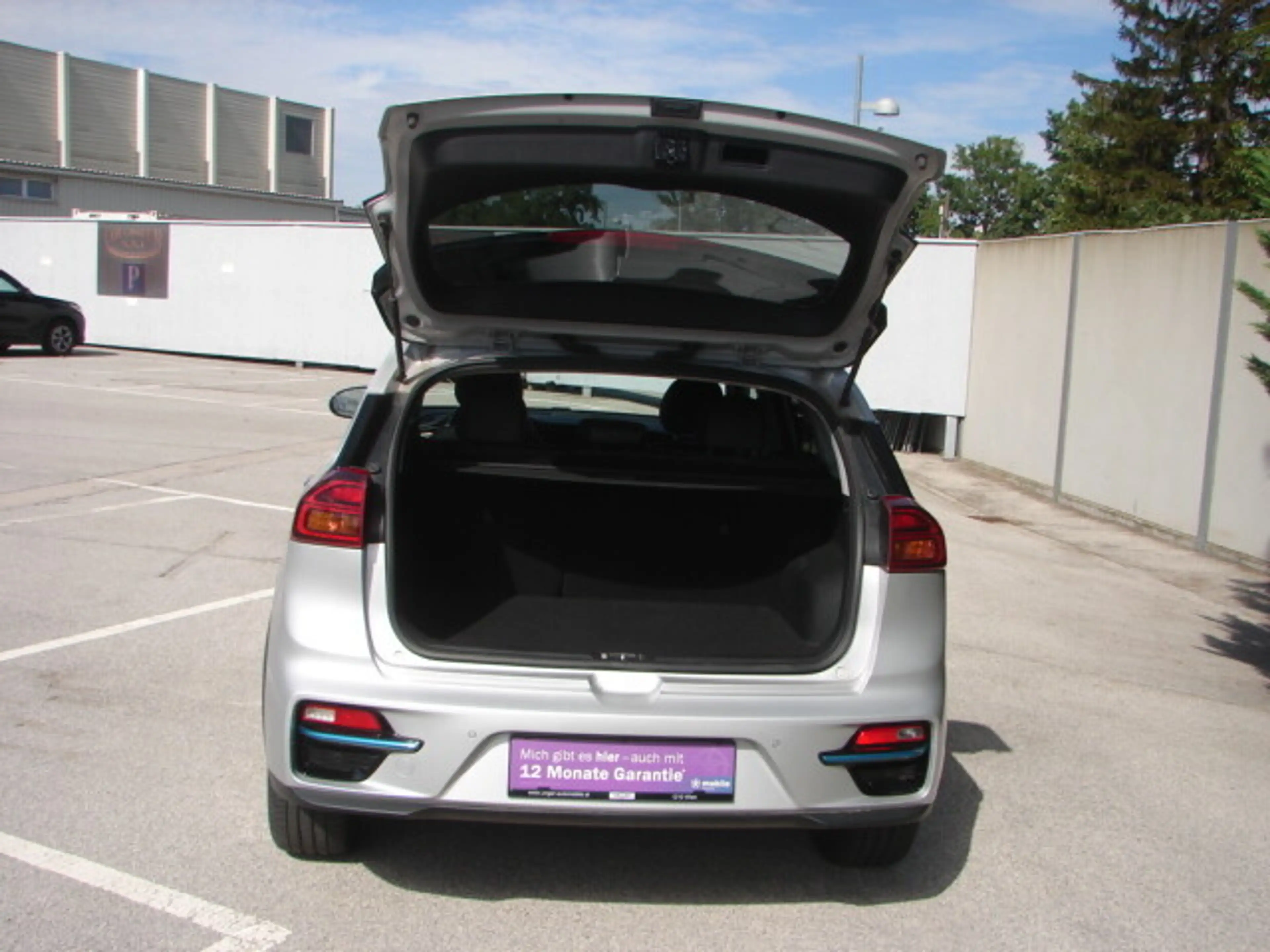 Kia e-Niro Niro EV 64kWh long Range Gold Aut. — photo 5
